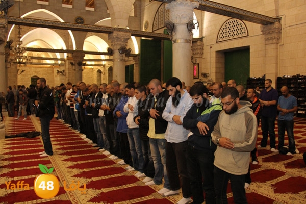 bikers yaffaj832 (49).JPG